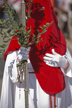 Penitent with a crosier carried olive branches during a procession of holy week on Palm Sunday, Spain