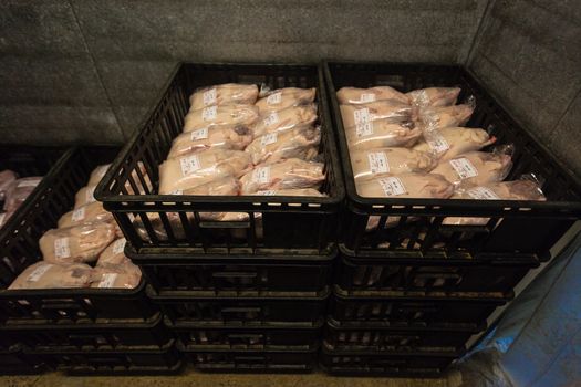 Poultry abattoir fridge with crates of packed ducks for the food markets.