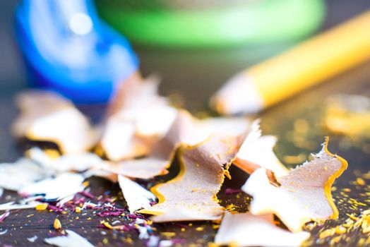 shavings from the pencil sharpening