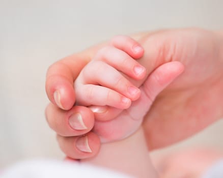 baby palm in mothers hands