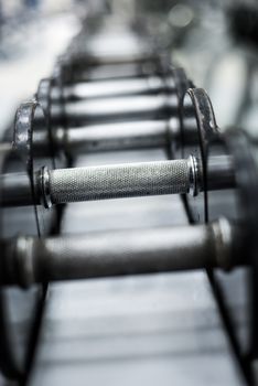 Rows of dumbbells in the gym