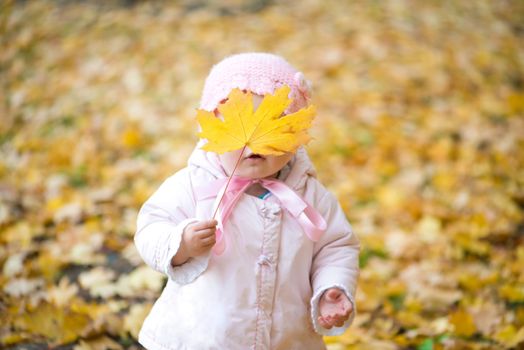 little baby in the park playing with autumn leaves