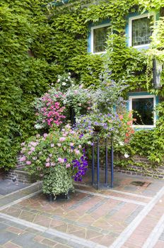 green patio garden with pot and flowers