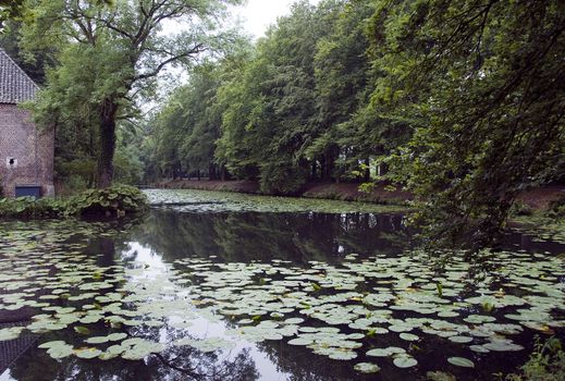 water near monument in Holland with water and big gardens