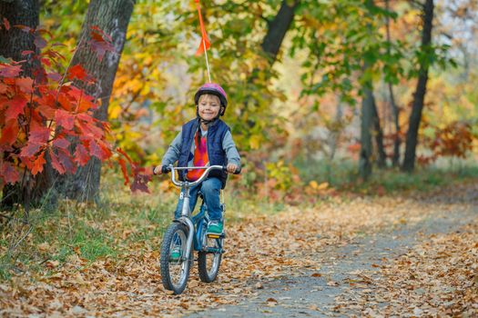 Cute little boy on bicycle in the autumn park.