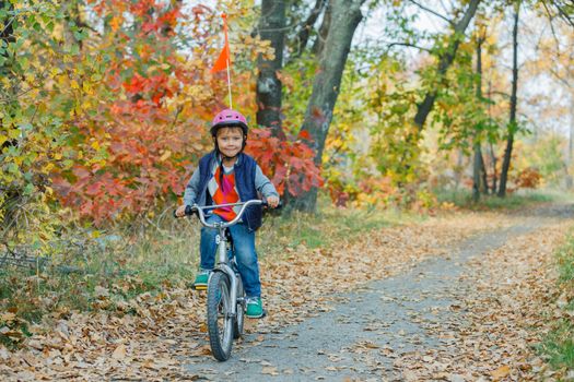 Cute little boy on bicycle in the autumn park.