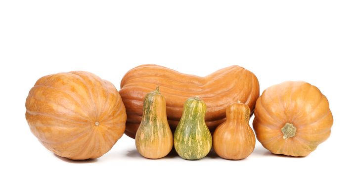 Composition of fresh pumpkins. Isolated on a white background