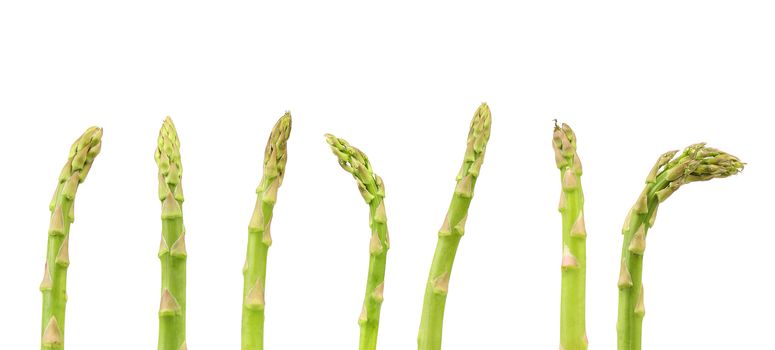 The top of some asparagus on a white background.