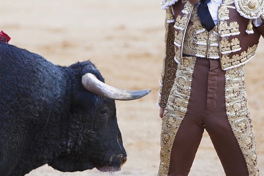 Bullfighter very close to the bull, Andalucia, Spain