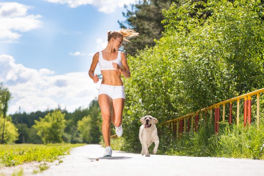 young athletic woman running on the road with white labrador, exercise outdoors