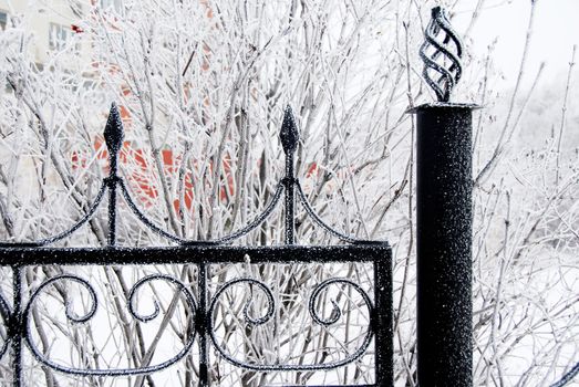 details of winter black iron fence with frost closeup during wintertime