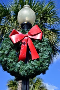 A Christmas wreath decorates a light pole near a palm tree in Southeast Georgia
