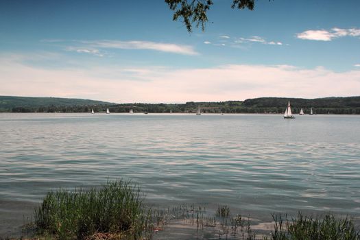 Lake of Constance View to Switzerland 