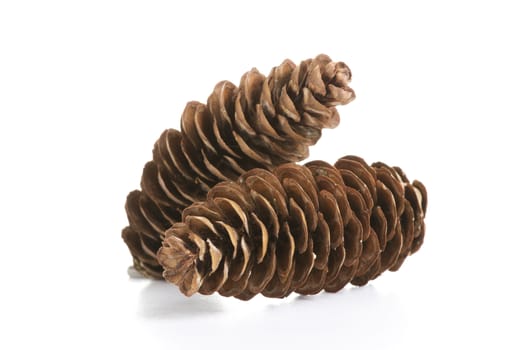 Pine cones isolated on white 