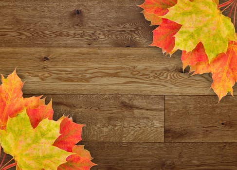 Autumn leaves over wooden background with copy space 