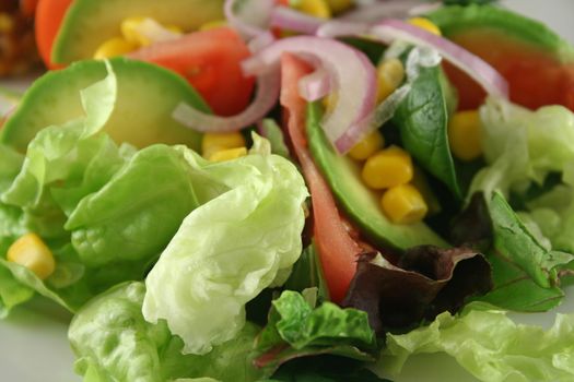 Salad background of fresh mixed salad ingredients.