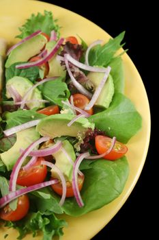 Fresh tossed garden salad ready to serve.