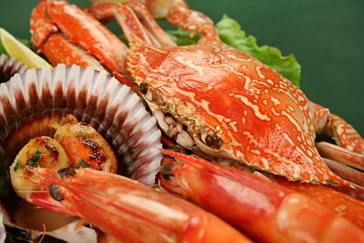 Fresh seafood platter of cooked shrimps, sand crab and pan fried scallops and lemon.