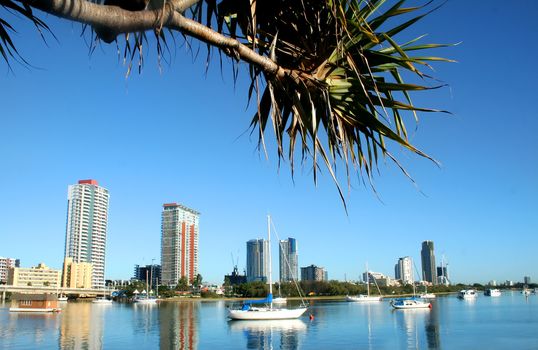 City of Southport on the Gold Coast Australia seen across the Nerang River just after sunrise.