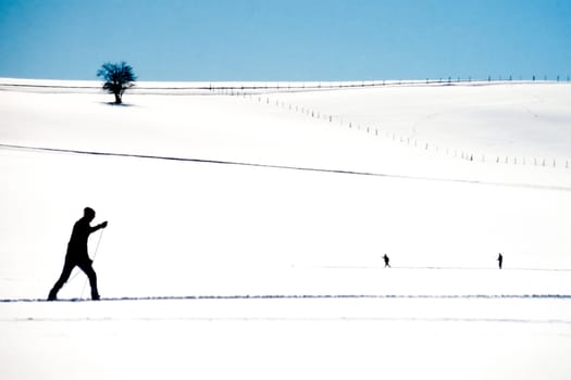 Active cross country skier following an x-country ski track across a flat expanse of winter snow exercising winter sports