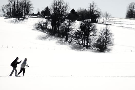 Two active cross country skiers following an x-country ski track across snowy winter landscape exercising winter sports