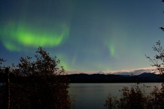 Band of green northern lights, Aurora borealis, on night sky with moon-lit clouds and stars over boreal forest taiga of Lake Laberge, Yukon Territory, Canada