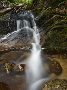 Stream in the forest of mountain Karadzica