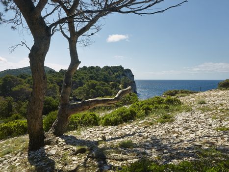 Nature park Telascica, Dugi otok, Croatia       