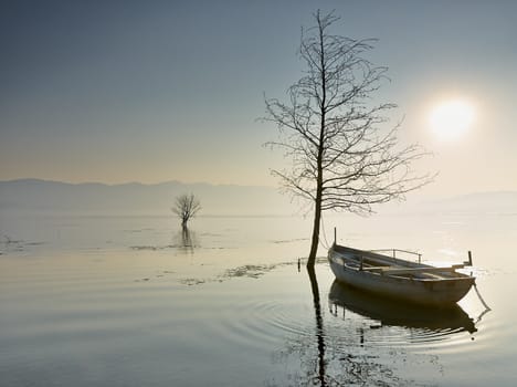 Fishing boat in morning         