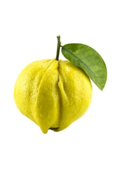 yellow ripe lemon with leaf over the white background (with clipping work path)