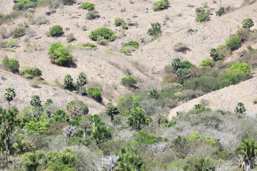 View from a hill over Komodo Island