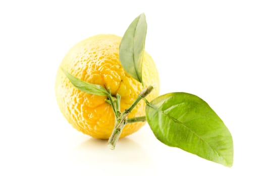 Sweet Orange Fruit with leaves .