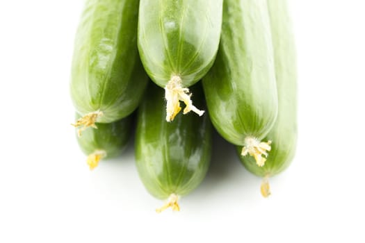 Fresh Cucumber on white background.
