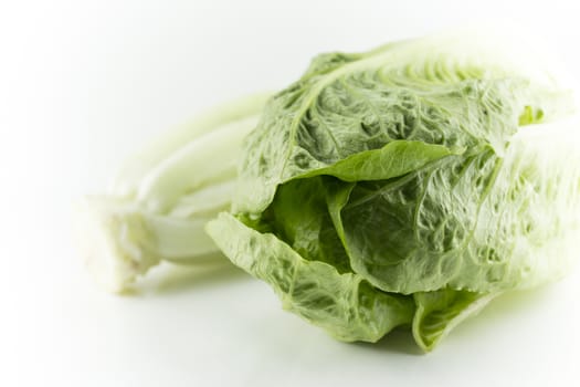 Romain Lettuce on a white background