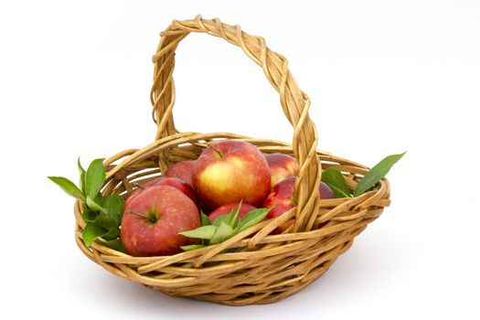 red apples in a basket on white background