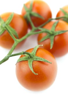 fresh cherry tomatoes with water drops.