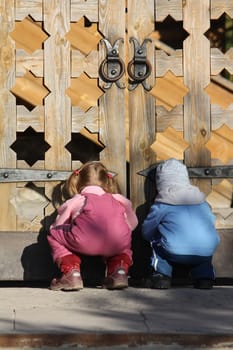 Children looking through the wooden gates