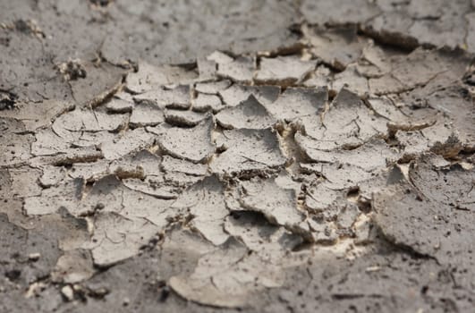 Close-up photo of a dry cracked ground