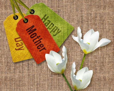 Postcard, Flowers on sacking cloth background.