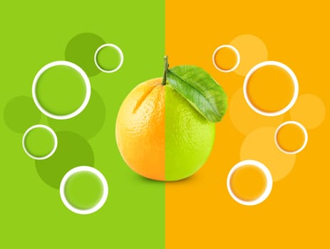 nice design for orange background
