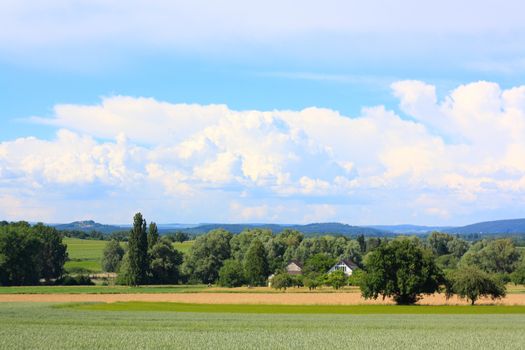 beautiful landscape with clouds, trees and fields 