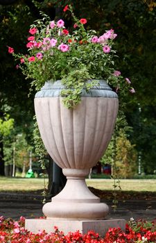 Big vase with flowes in a city park