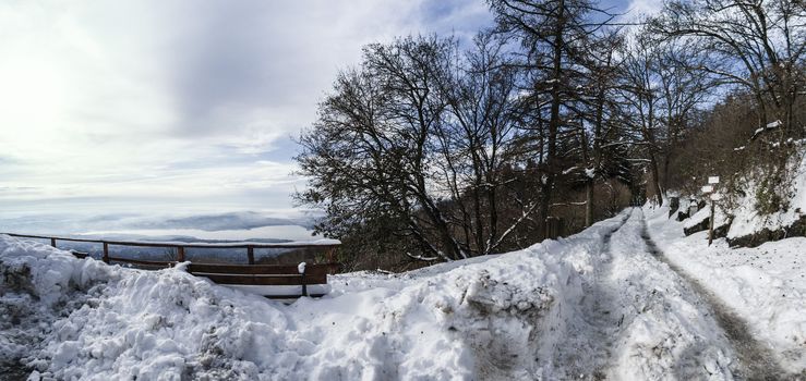 Winter landscape and mountain path at the Campo dei Fiori, Varese - Lombardy, Italy