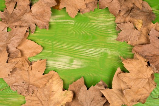 Dry autumn leavest shot on a green background