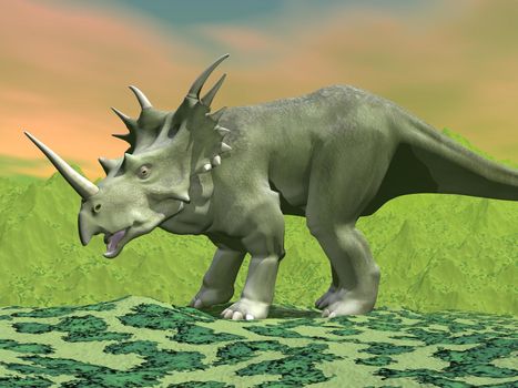 Styracosaurus dinosaur standing on green grass next to mountain by sunset light