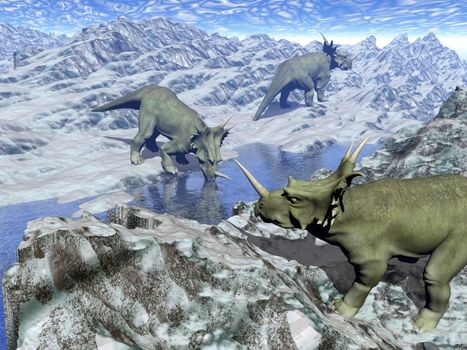 Three styracosaurus dinosaurs in icy desert landscape with water by blue day