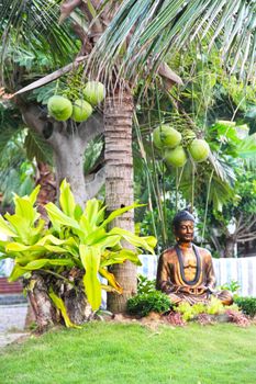 Buddha statue in botanical garden under coconut palm tree