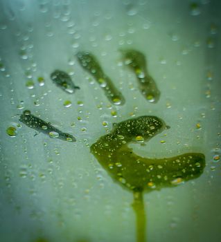 Child's Hand Print On A Steamy Window