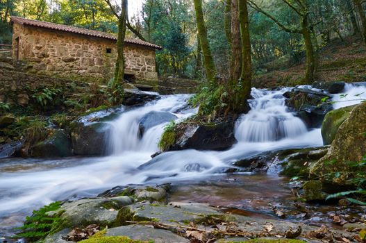 Old Galician water mill in a wood