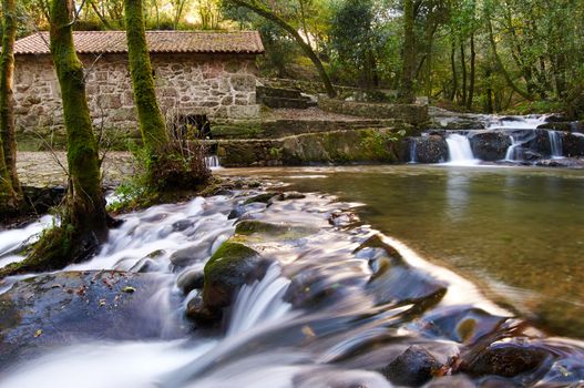 Old Galician water mill in a wood